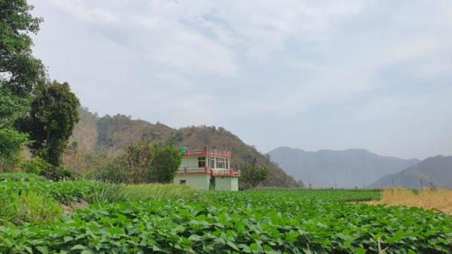 Anand Shekhar Yoga School in Rishikesh